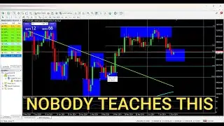 The Best Swing Trading Strategy for Bgeinners -AUDNZD Analysis