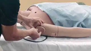 Attaching the BP Arm to Your CAE Juno Manikin