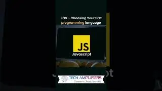 Best Programming Funny Video | Tech Amplifiers | It Training Institute In Pune