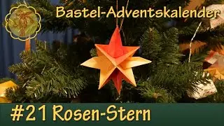 Rosen-Stern basteln (Bastel-Adventskalender #21)