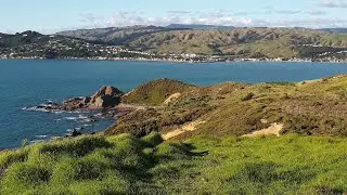 Whitiriea Park, Porirua, New Zealand