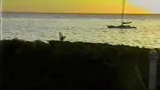 Luau2