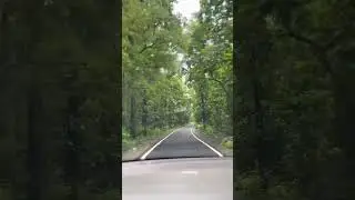 Ramnagar | Jim Corbett | Wildlife Safari | trending reel |