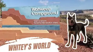 Lake Powell Camping: Wahweap RV & Campground Guide (Glen Canyon & Page, AZ)