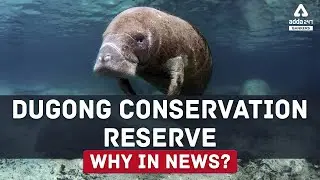 Dugong Sea Cow in India | Dugong Conservation Reserve | Why in News?