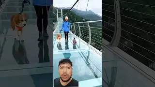 The glass floor is cracking😱💀