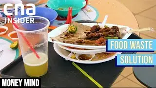 Insects As A Solution To Food Waste | Money Mind | Eco-Entrepreneurs