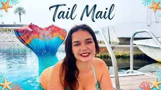 Tail Mail with Weeki Wachee Mermaid Lilly from Aurora in Gainesville, FL