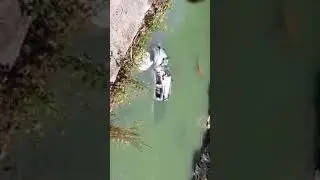Car run over in flat bridge jamaica