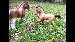 wild horses~ schleich stop motion