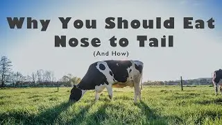 Why You Should Eat Nose To Tail ( And How)