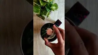 Green chili chatni with curd  recipe 🥰 #shortrecipe #shorttrick  #shorts #video #trending #subscribe