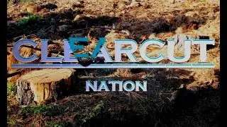 Clearcut Nation