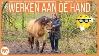 Grondwerk; onder treden