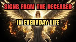 The Chosen Ones: How Signs from the Deceased Bring Comfort, Guidance, and Connection Beyond the Veil
