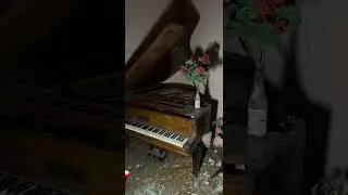 SEUL DANS CETTE &Eacute;TRANGE MAISON ABANDONN&Eacute;E DE NUIT 😰 #urbex #explore #horror #paranormal