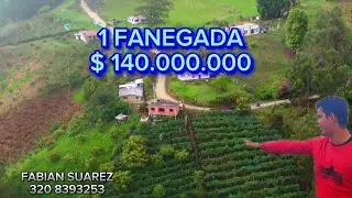 PARCELA AGROSESTINIBLE DE 1 FANEGADA