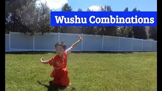 Kids Martial Arts: Wushu Combinations