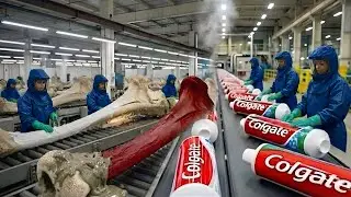 From Animal Bones to Toothpaste! - Inside a Mega Factory (Full Process)