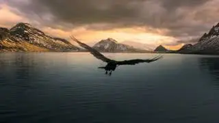 Alpha move best scene