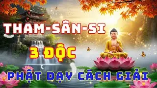 Phật Dạy Tam Độc: Tham–Sân–Si Đốt Cháy Cả Đời Người, Biết Được Sớm, Tâm An Nửa Đời Còn Lại (P1)