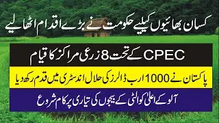 CPEC Agricultural Projects 2020 | Hilal Food Industry | CPEC Projects | Collective Effort