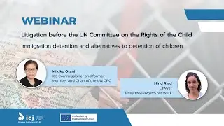 Webinar on litigation before the UN Committee on the Rights of the Child