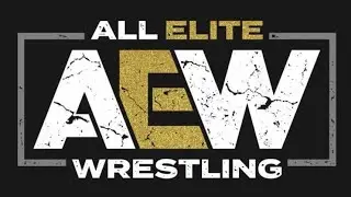 AEW: Lee Moriarty vs Brian Danielson
