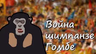Война шимпанзе Гомбе.1974-1978.