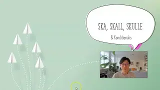 29 ska, skall, skulle & konditionalis- How to say 
