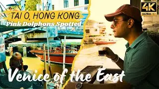 Searching for Pink Dolphins in Tai O | Hong Kong Travel