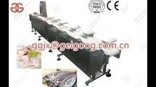 Automatic Fish Sorting Grader Machine by Weight|Chicken Wings Sorting Machine