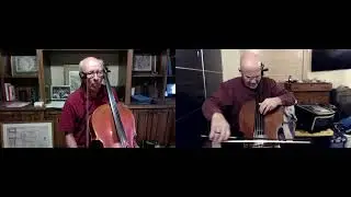 INTERMEDIATE CELLO LESSON 10/11/20 - zoom 7