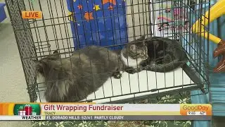 Gift Wrapping Fundraiser