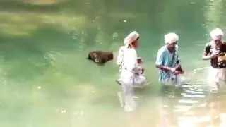 Kolandi bheemayyak  pittaguda