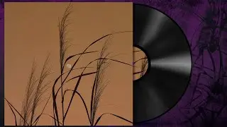 🎵 T&ouml;ki & Pharma - Monarchs [Deep Chilled Dubstep]