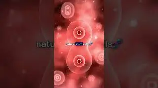 Stem Wave Therapy for Knees