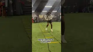 20-Foot Ladder Challenge: Can You Beat Blaze&rsquo;s Record Time? 🏃&zwj;♂️🔥