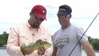 Fishing for Peacock Bass w/ Flukemaster | Peter Miller Fishing