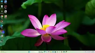 Ai to vector/Eps file for marketplace