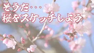 『スケッチ！』～桜のスケッチして自分の素材にしちゃおう♪～