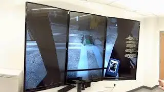 B6