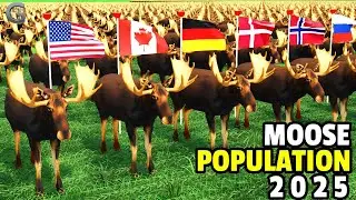 Moose Population by Country 2025 | Comparison Video