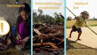 The CFS Principles for Responsible investment in Agriculture and Food Systems