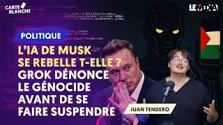 L&rsquo;IA DE MUSK SE REBELLE ? GROK D&Eacute;NONCE LE G&Eacute;NOCIDE EN PALESTINE AVANT DE SE FAIRE SUSPENDRE