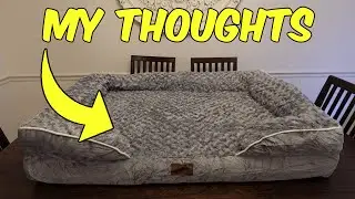 Review of this WNPETHOME Extra Large Dog Bed!