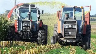 Vintage Tractors making Corn Silage