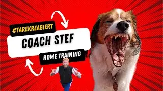 Personal Trainer SEZIERT den Anf&auml;nger Trainingsplan f&uuml;r Zuhause von COACH STEF #tarekreagiert
