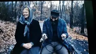 an american pickle  (3)Sarah snook seth rogen