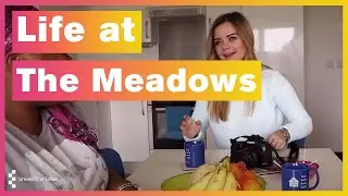 University of Essex | The Meadows Accommodation Colchester Campus